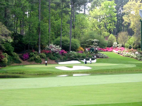 augustanational12green