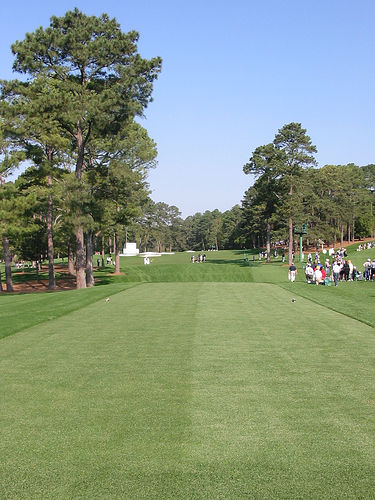 Augusta National #3 Tee