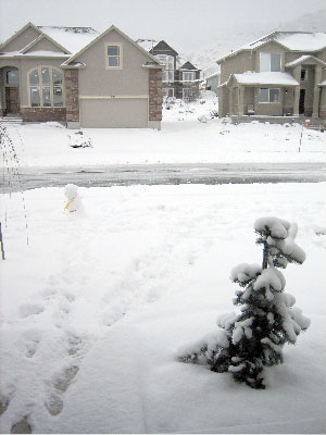 snow on back porch