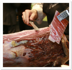 ibericoham