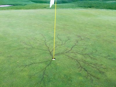 Lightning burned putting surface - click for more Stonebridge photos