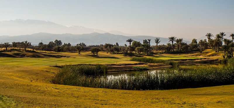 royal_palm_golf_club_marrakech_04