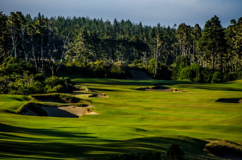 Bandon Trails